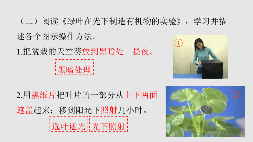 2021-2022学年人教版生物七年级上册3.4绿色植物是生物圈中有机物的制造者课件（共25张PPT 含视频）