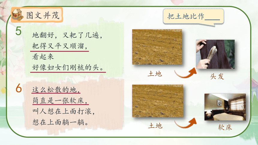 21《三黑和土地》教学课件