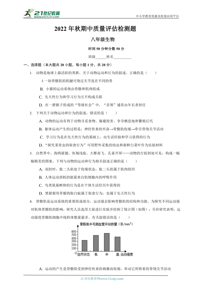 人教版生物八年级上册2022年秋期中质量评估检测题（含解析）