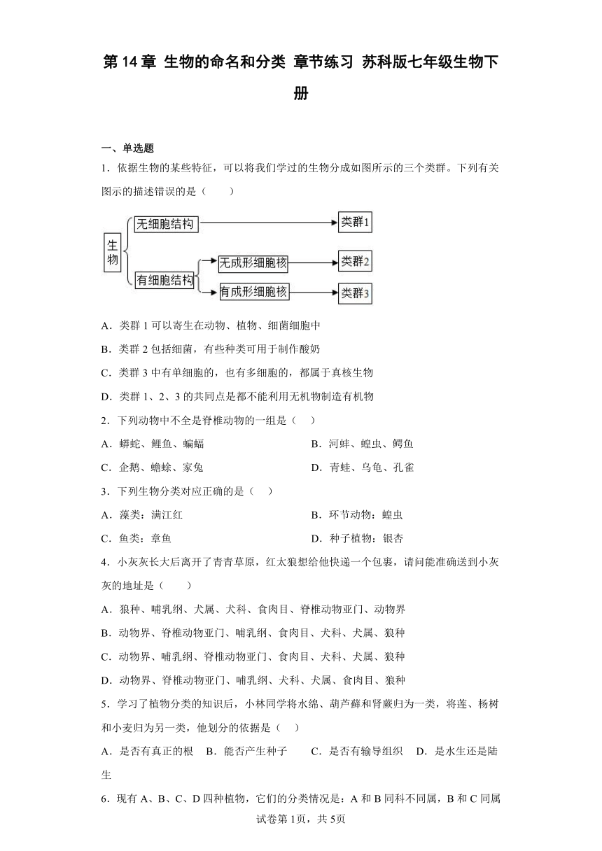 第14章 生物的命名和分类 章节练习（含答案） 苏科版七年级生物下册