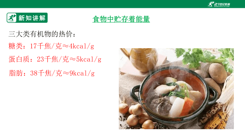 4.10.1 食物中能量的释放-2022-2023学年七年级生物下册同步课件（北师大版）(共31张PPT)