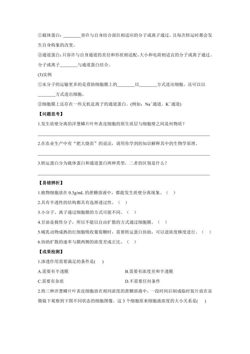 4.1被动运输 导学案——2022-2023学年高一生物人教版（2019）必修一