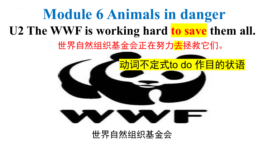 外研版八年级上册 Module 6 Unit 2 The WWF is working hard to save them all.课件  (共26张PPT)