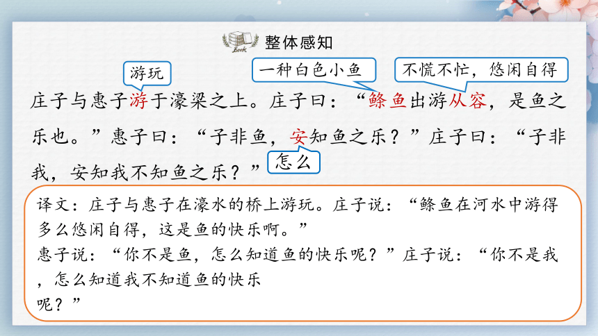 21《庄子》二则（第二课时）（课件）-2022-2023学年八年级语文下册同步精品课件