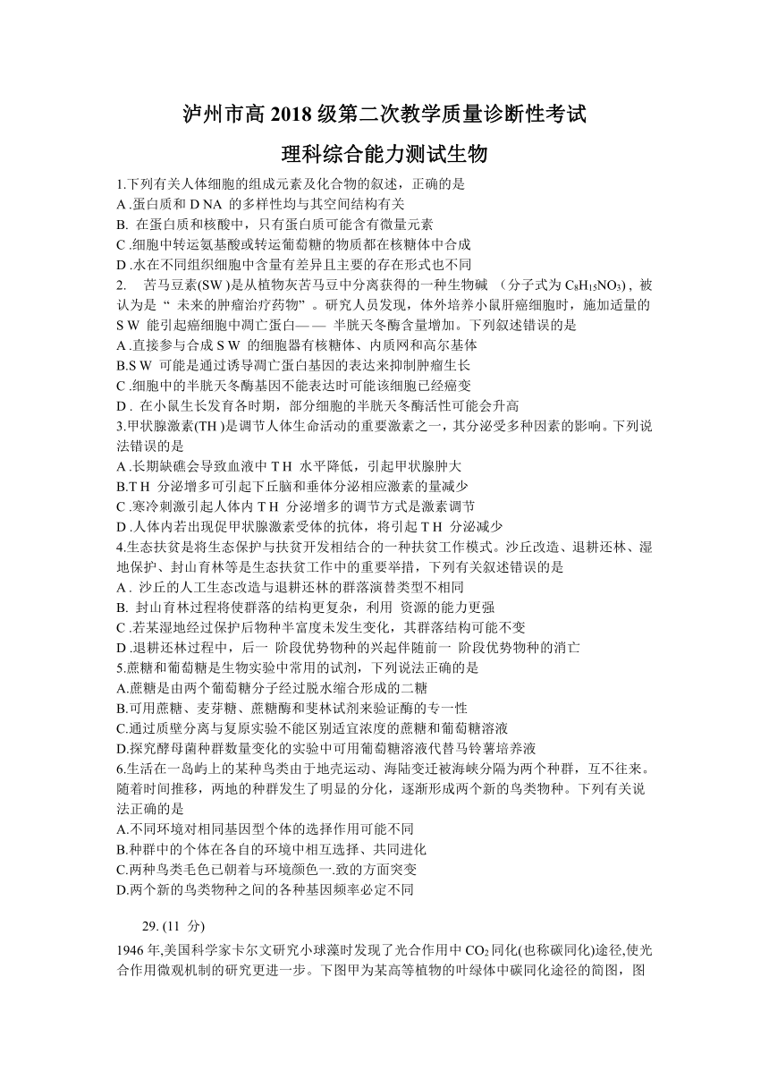 四川省泸州市2021届高三下学期第二次教学质量诊断性考试（3月）理科综合生物试题   含答案