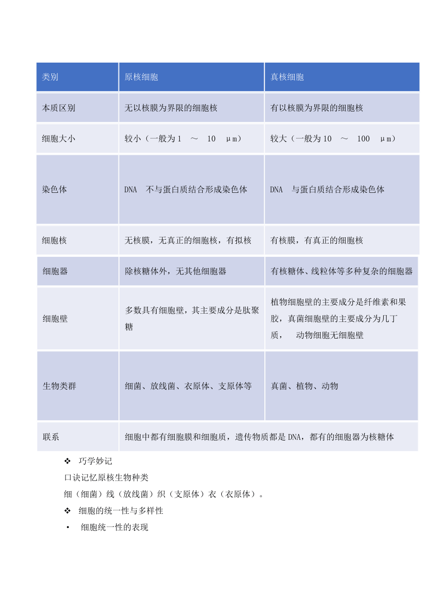 高中生物人教版（2019）必修一备考期末-《走近细胞》-“细胞多样性和统一性”章节重点归纳&典例示范学案（含答案）