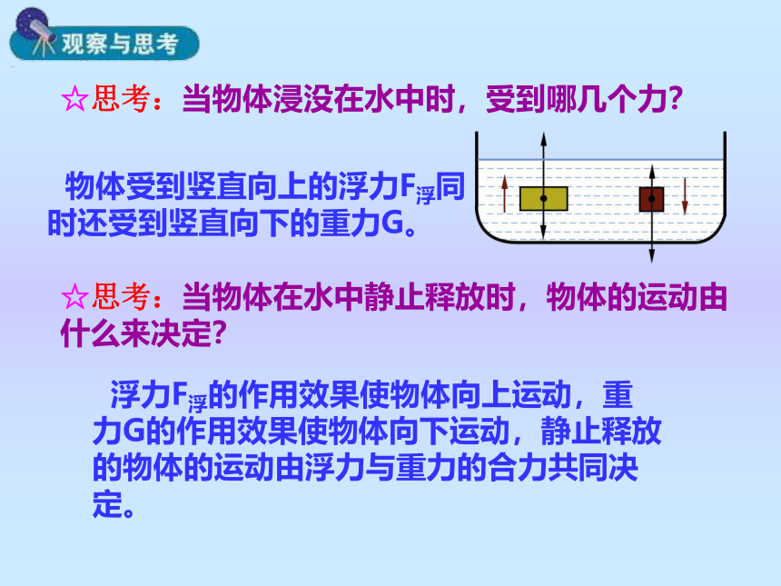 8.6《物体的沉浮条件》课件2021-2022学年北师大版八年级物理下册(共29张PPT)