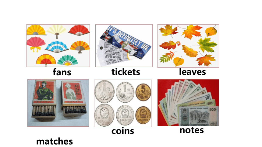 Module 6 Hobbies Unit 1 Do you collect anything 课件（20张PPT）