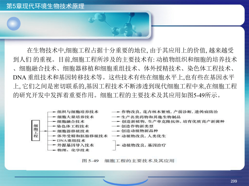 5.现代环境生物技术原理_11 课件(共29张PPT)- 《环境生物化学》同步教学（机工版·2020）