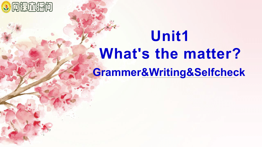 人教版八年级英语下册Unit 1 What‘’s the matter? Grammer&Writing&Selfcheck课件（38张PPT）