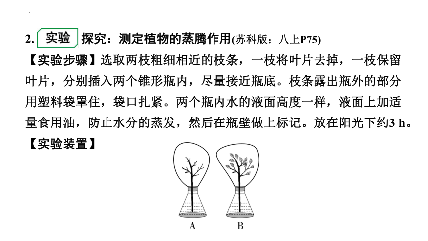 2024年江苏省徐州市中考生物二轮考点研究：第13讲生态系统的稳定课件(共60张PPT)