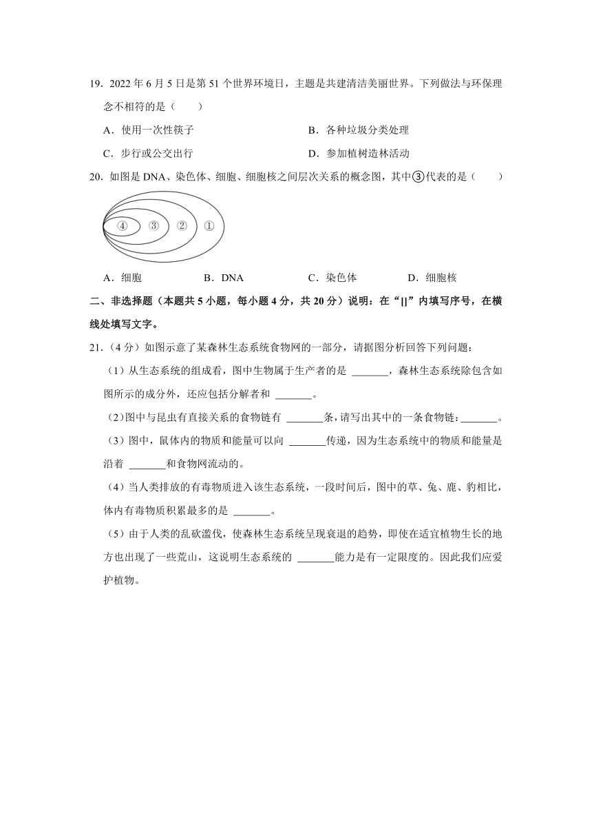 辽宁省大连市甘井子区2022-2023学年七年级上学期期中生物试卷（含解析）