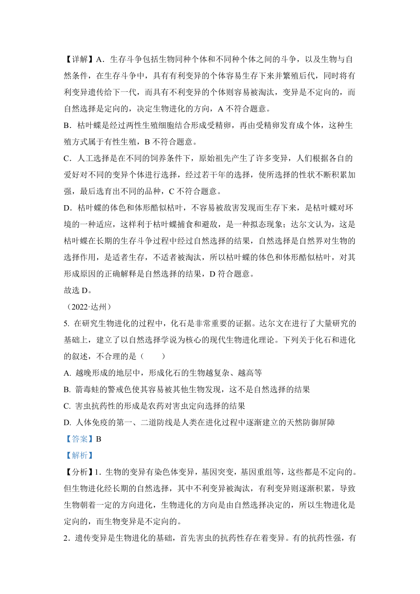 专题10 生物的分类、进化和多样性保护（答案和试题未分开）2022年中考生物真题 （全国通用）