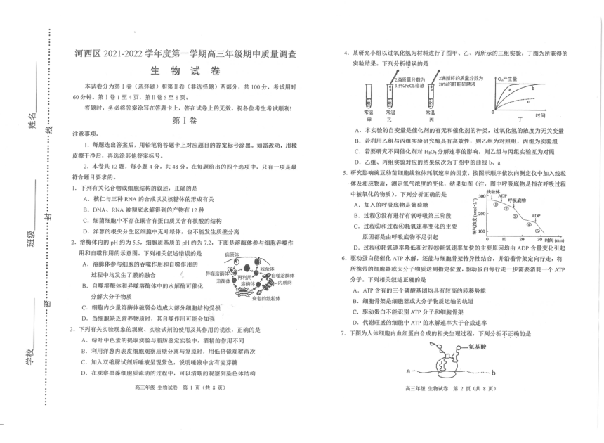 天津市河西区2021-2022学年度22届高三上学期期中生物试卷（PDF版带答案）