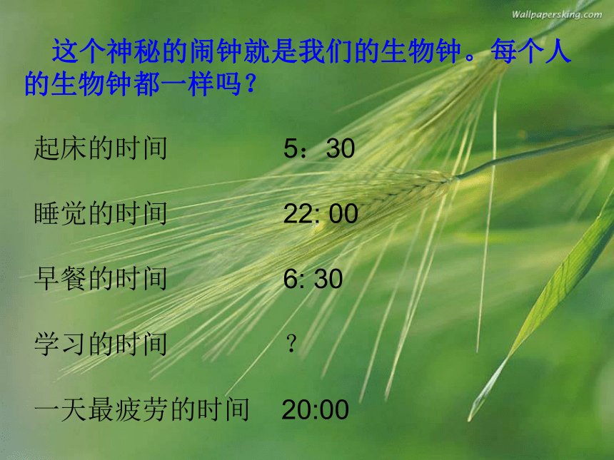 辽大版 四年级上册心理健康 第七课 神秘的生物钟   课件（共9张PPT）