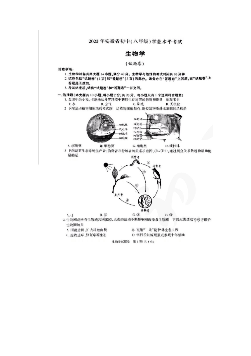 2022年安徽省初中（八年级生物)学业水平考试生物真题试卷（扫描版含答案）