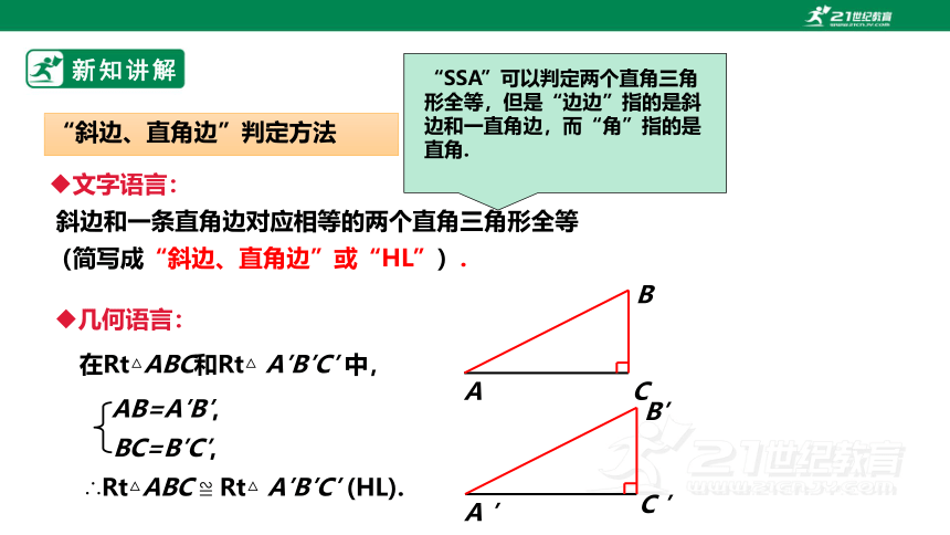 2.8  直角三角形全等的判定 课件（共25张PPT）