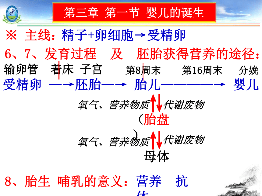 济南版八年级生物上册课件：第一次月考复习(第2-3章)（43张PPT）