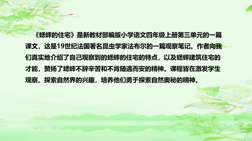 11 《蟋蟀的住宅》说课课件(2课时 共41张PPT)