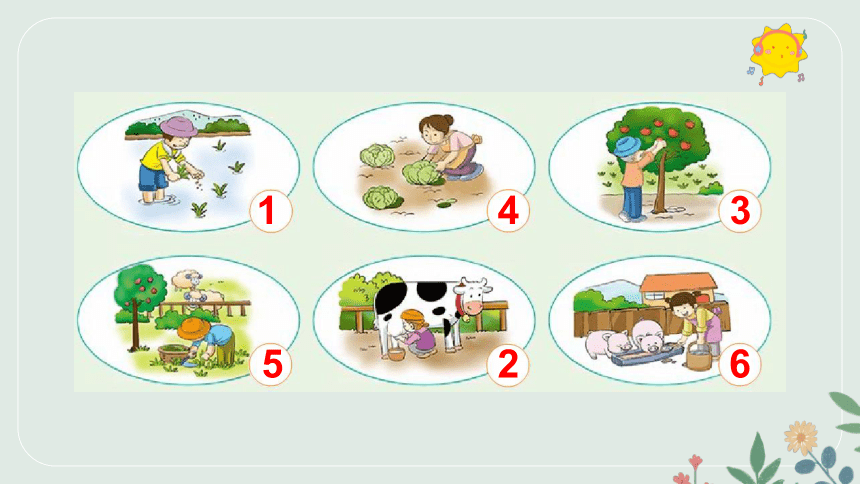Unit 2 A country life is a healthy life Lesson2 课件(共30张PPT)