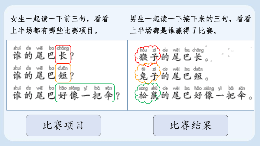 6 比尾巴 课件(共22张PPT)