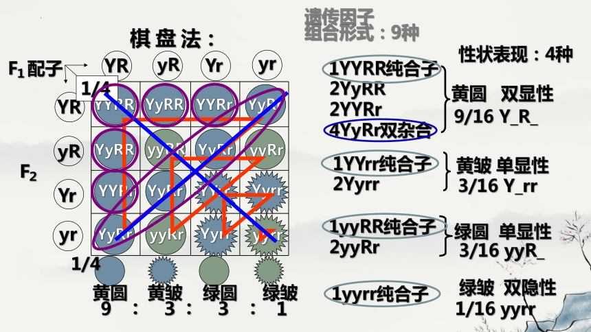 1.2孟德尔的豌豆杂交实验（二）课件-(共43张PPT)人教版必修2