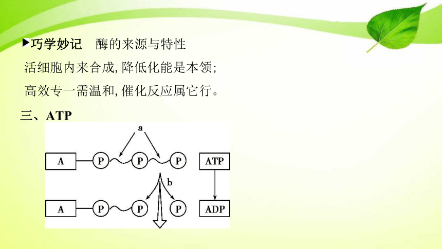 高考生物专题课件6：酶与ATP（共66张PPT）