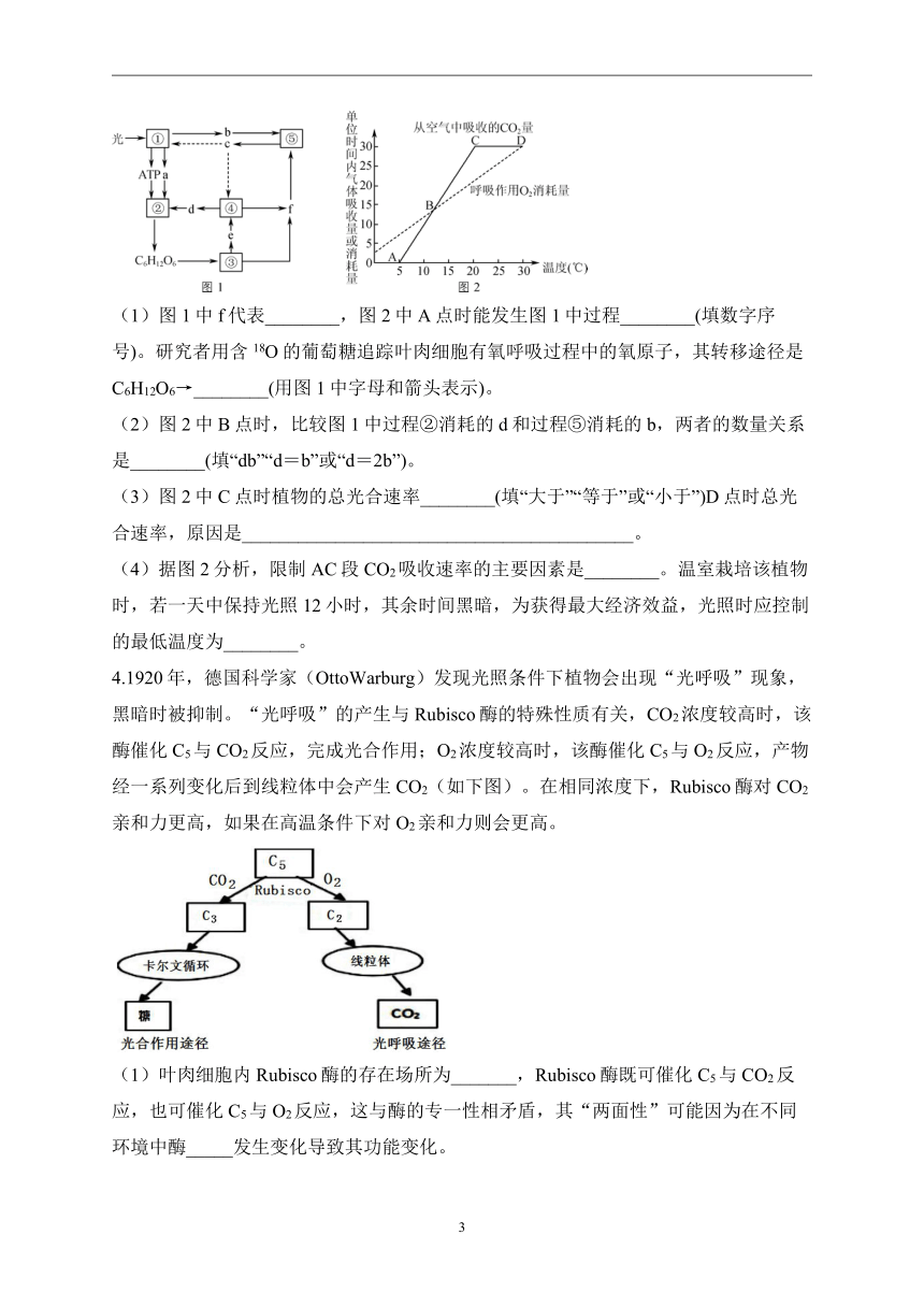 （15）光合作用——2023届高考生物二轮复习热点题型限时练(有解析)