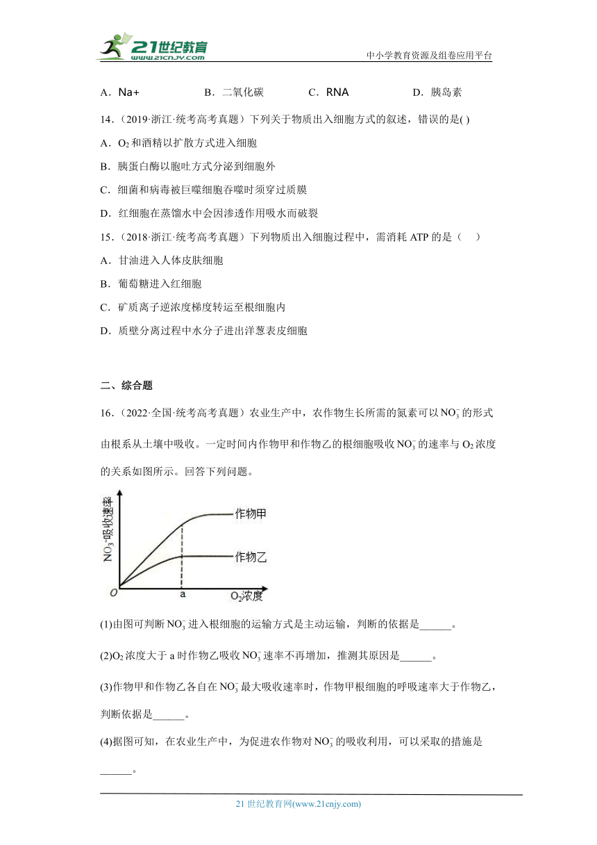 五年2018-2022高考生物真题按知识点分类汇编15-细胞的物质输入和输出-主动运输（含解析）