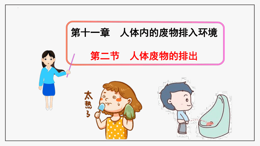 11.2 人体废物的排出课件(共31张PPT)2021--2022苏教版生物七年级下册