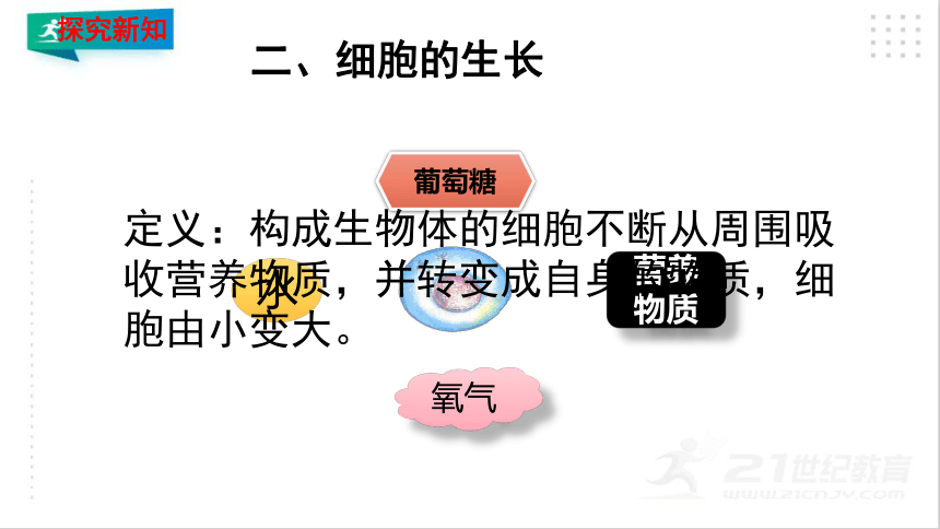 2.2.1 细胞通过分裂产生新细胞课件（共20张PPT）