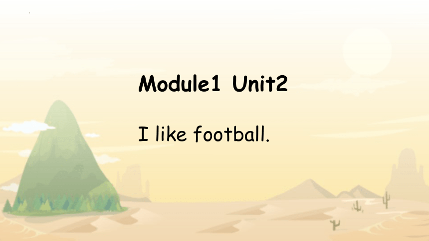 Module1Unit 2 I like football 课件(共22张PPT)