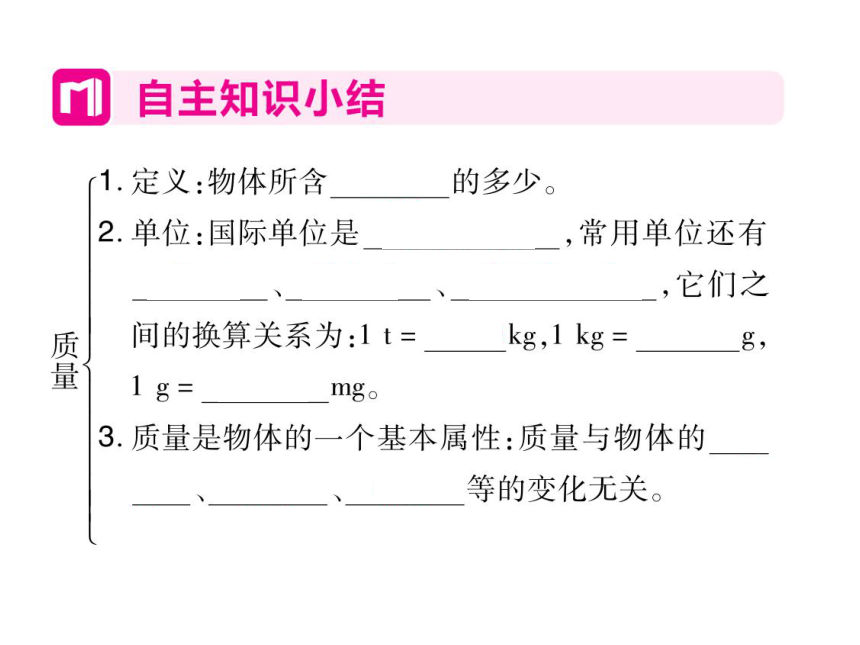 2021-2022学年八年级上册人教版物理习题课件 第六章 第1节 质量(共41张PPT)