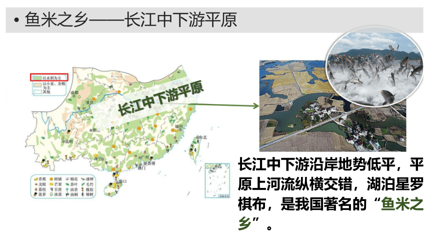 【推荐】人教版2021-2022学年八年级地理下学期7.1南方地区的自然特征与农业课件（共22张PPT，含视频素材）