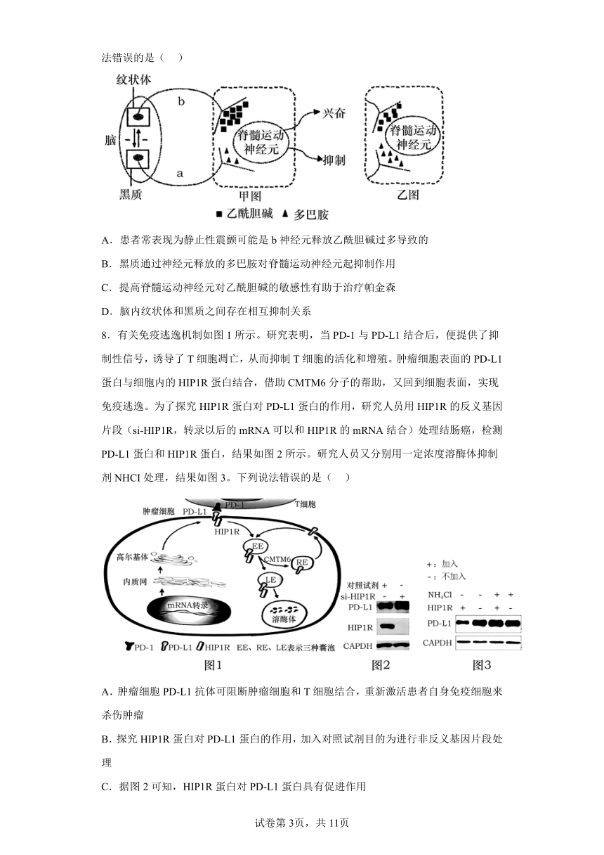 2023届湖南省高三二轮复习联考生物试题（含答案）