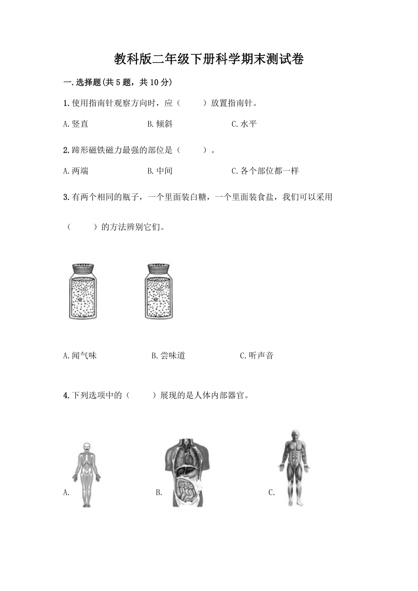 教科版（2017秋）二年级下册科学期末测试卷6（含答案）