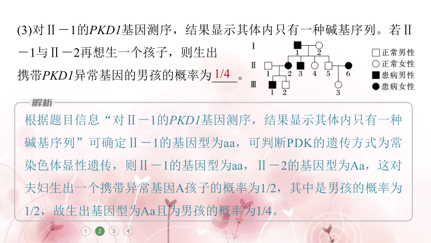 高三生物重难大题集训(2)　变异与遗传的综合考查(课件共33张PPT)