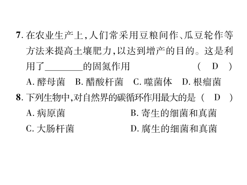 2021-2022冀教版八年级生物上册  5.4 微生物在生物圈中的作用课件(共35张PPT)