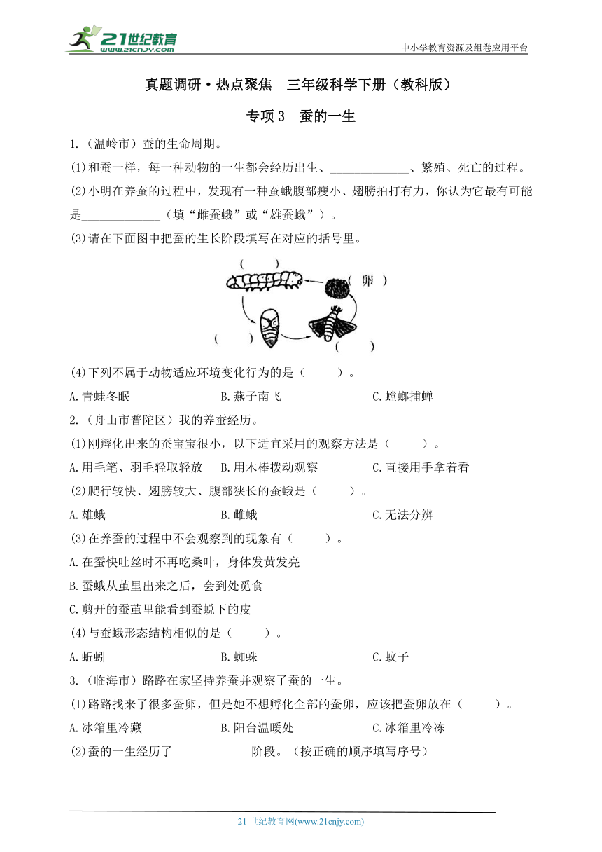 三年级科学下册（教科版）真题调研·热点聚焦 专项3 蚕的一生（含答案）