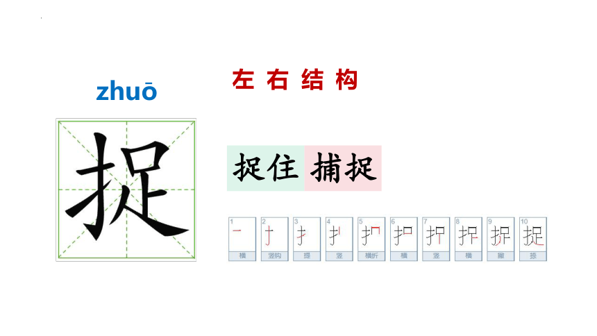 20 小壁虎借尾巴 课件(共21张PPT)