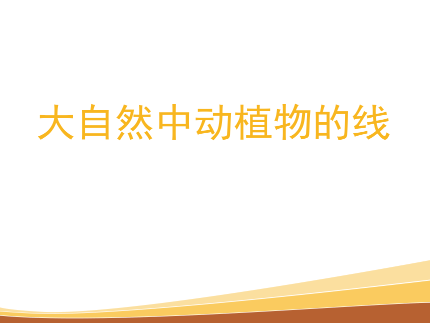 冀美版二年级美术下册 2各种各样的线 课件(共16张PPT)