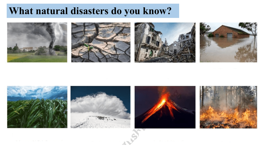 牛津译林版（2019）必修 第三册Unit 2 Natural disasters Project课件(共18张PPT)