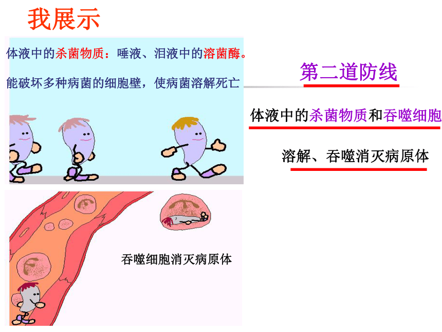 2021--2022学年沪教版第一册生物3.2.2 常见病及其预防------人体的免疫功能教学课件(共23张PPT)