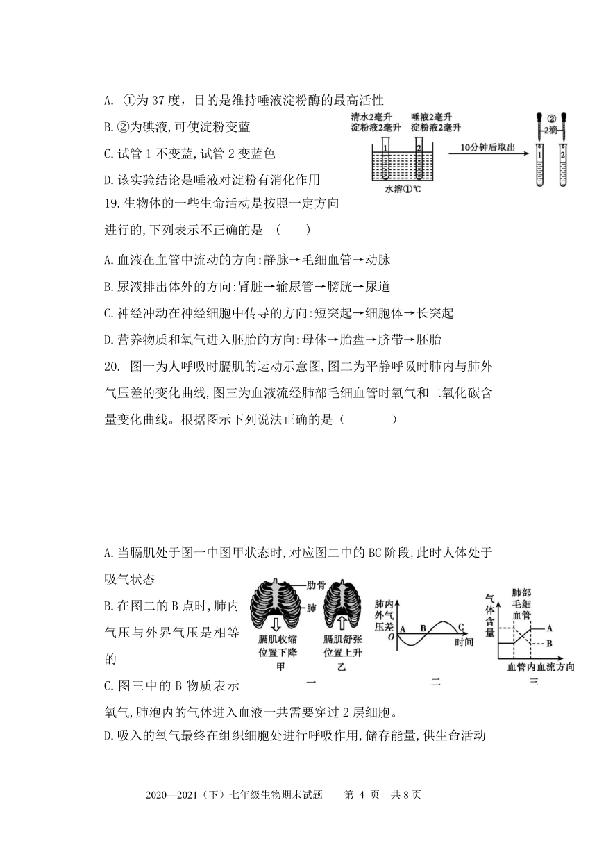 内蒙古满洲里市2020-2021学年七年级下学期期末检测生物试题（Word版含答案）