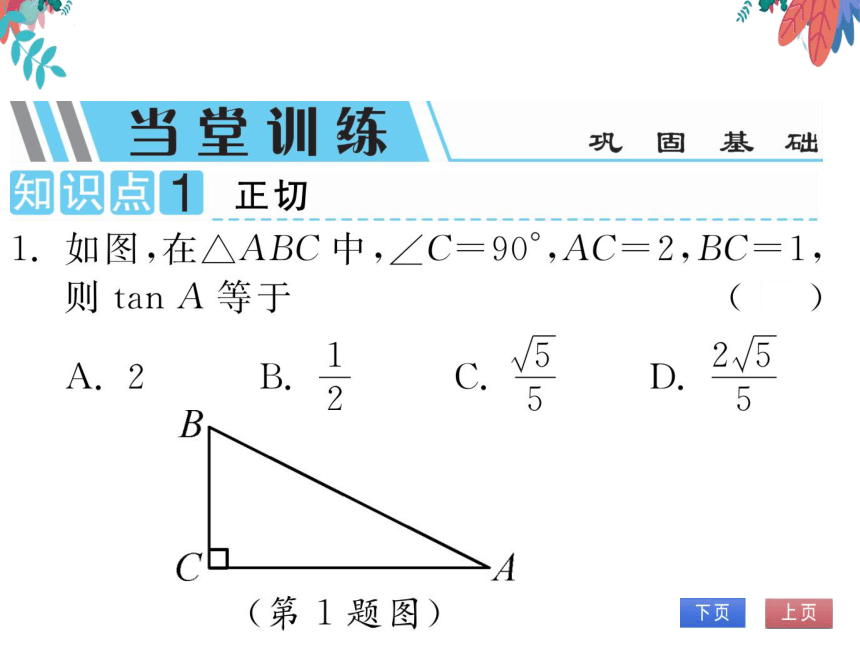 【沪科版】数学九年级上册 23.1.1 锐角的三角函数 第1课时 锐角的三角函数 习题课件