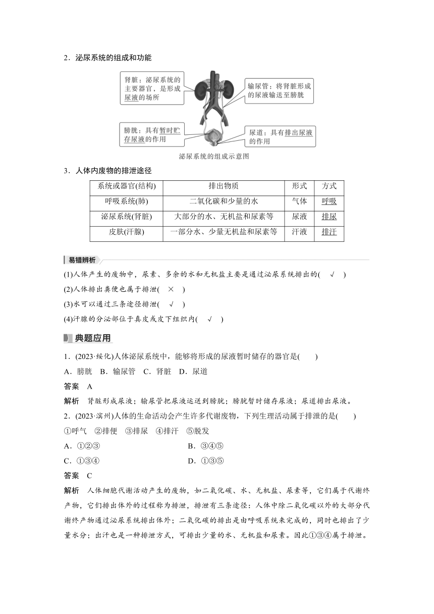 2024年中考生物一轮复习考点精讲  学案（含解析） 主题四　第3课时　人体的呼吸及人体内废物的排出