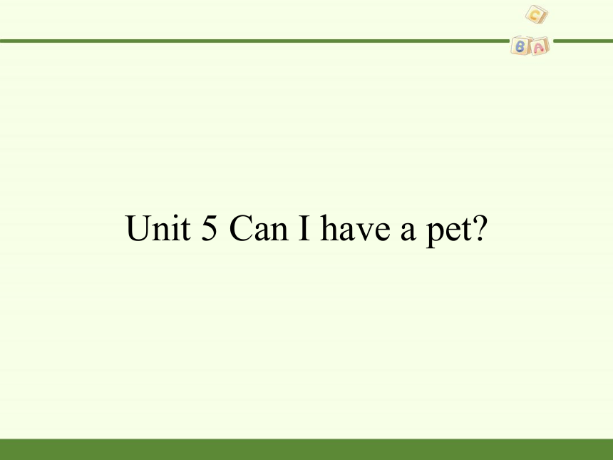 Unit 5 Can I have a pet   课件(共13张PPT)