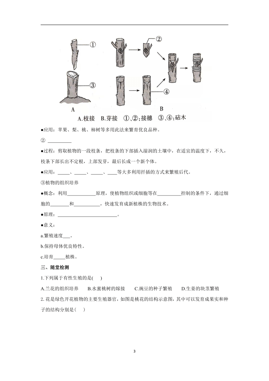 7.1.1植物的生殖学案2022-2023学年初中生物人教版八年级下册