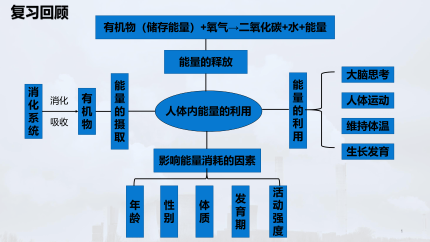 3.2.3 呼吸保健与急救 课件(共26张PPT＋内嵌视频1个)2022-2023学年济南版生物七年级下册