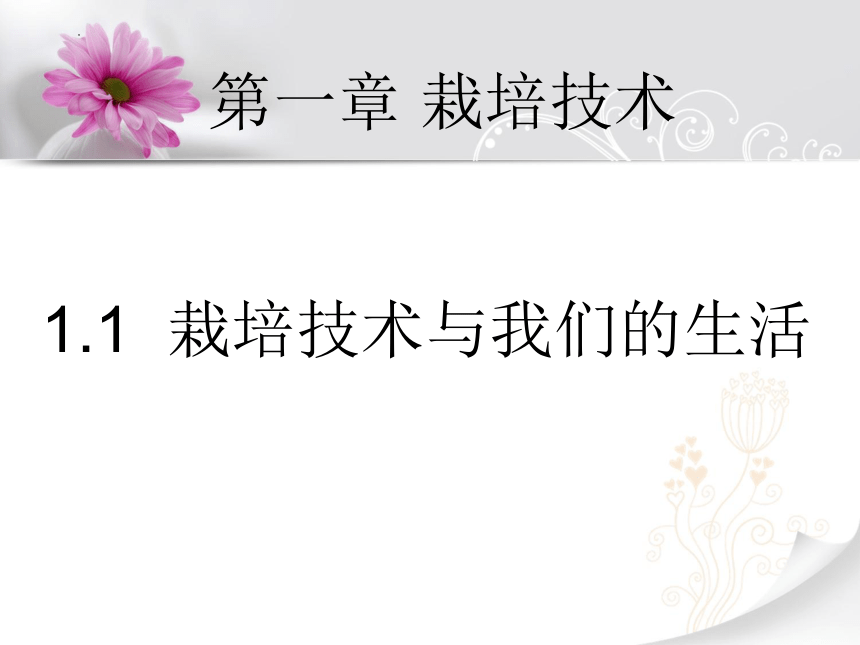 1.1栽培技术与我们的生活　课件(共29张PPT)　 2022—2023学年教育科学研究院编初中劳动技术八年级上册